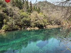 -石台牯牛降景区