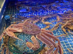 -驻海渔市(置信店)