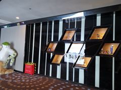 -万达影城(汉街万达广场IMAX店)