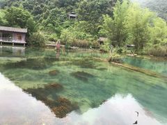 -靖西鹅泉风景区