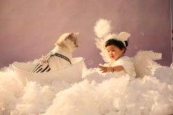 点击看大图 -专注孕妇照亲子照·纪田摄影