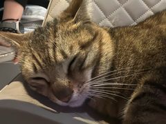 -丁字口海鲜热炒·烧烤大排档