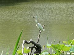 -新江湾城公园