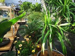 -北马山庄植趣咖啡