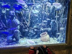 -华夏文旅海洋公园