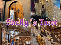 -雪灵魔法世界SHELLY’S TAROT(大良桂畔里店)