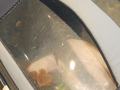 -宠颐生斯嘉宠物医院·急重症·心内科(谷阳北路分院)