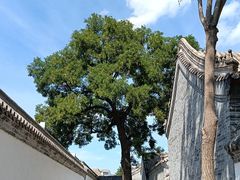 -保定直隶总督署博物馆