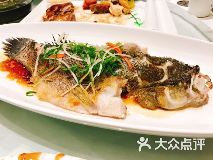 榕座水晶酒店(淞南店)鱼图片 - 第19张