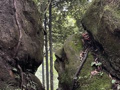 -青城山