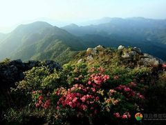 -木兰云雾山