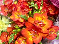 -双季花艺园艺市场(浦东店)