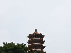 -深圳仙湖植物园