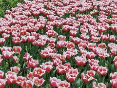 -玄武湖景区-情侣园游乐场