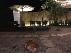 -云里小坐·小院里·团建·宴请·下午茶(三圣乡店)