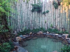 -张家港金凤凰度假村温泉