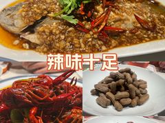 -杨氏青龙虾·羊蝎子(金盛路总店)