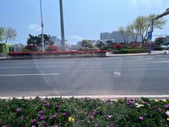 -星光岛