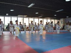 -陈中跆拳道(中关村馆)