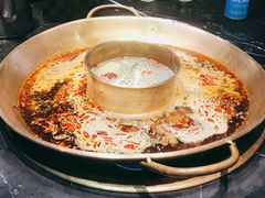 -杨家火锅(国美店)