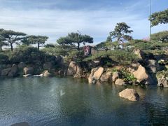 -罗红摄影艺术馆