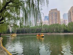 -团结湖公园