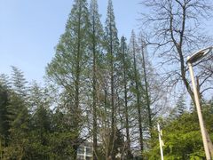 -泰州凤城河风景区-泰山公园