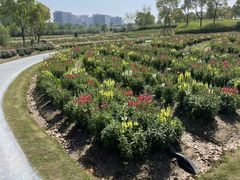 -春花秋色城市公园