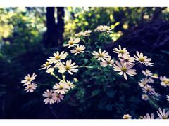 -北京宽沟会议中心