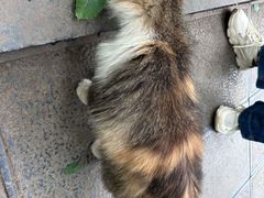 -阿甘小馆(陇海路店)