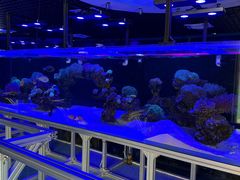 -海合安武汉极地海洋公园
