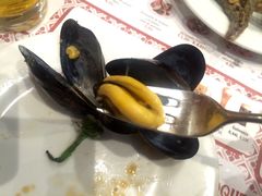 -Tapa Tapa