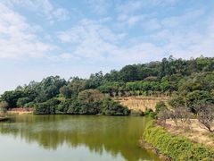 -南国桃园旅游度假区