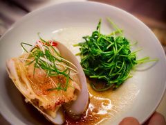 锦绣菌小象鼻蚌-CHIC1699远洋私厨