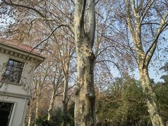 -河南省黄河迎宾馆