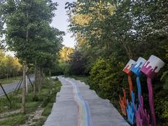 -太阳宫公园