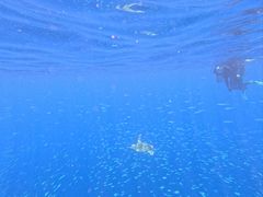 -卡帕莱度假村(西巴丹岛)
