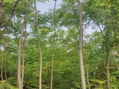 -梁子湖东篱老屋生态庄园