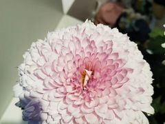 -汇龙潭