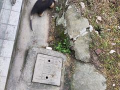 -上海野生动物园