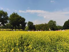 -长白岛森林公园