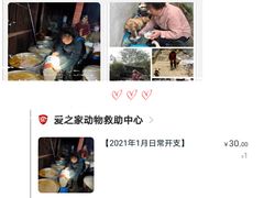 -成都爱之家动物救助中心