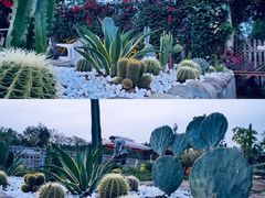 -三圣花乡旅游区