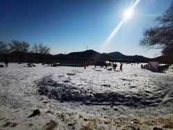 -浅山蜜塘奇妙乐园·亲子营地