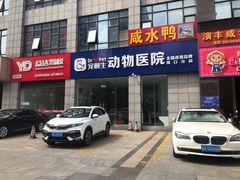 -宠颐生动物医院·猫科·心脏科(海口分院)