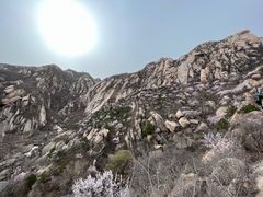 -北京凤凰岭
