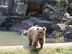 -宁波野生动物园