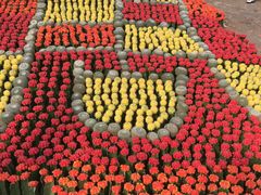 -南通洲际绿博园