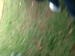 -荣誉国际酒店-云顶旋转餐厅