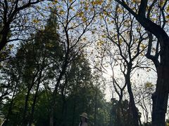 -白鹭湾湿地公园